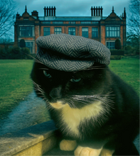 Load image into Gallery viewer, Peaky Blinders 1920's Tom Cat Cap
