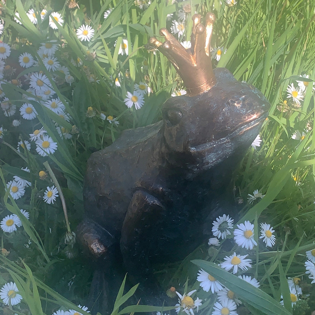 Frog Prince